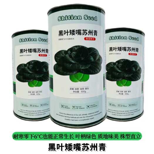 宿迁黑甜糯苏州青菜种子 耐寒青菜种子油亮苏州青菜种子