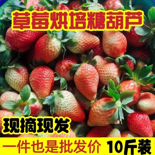 草莓云南产地直销,新鲜个大商用酸草莓,蛋糕奶茶糖葫芦专用包邮