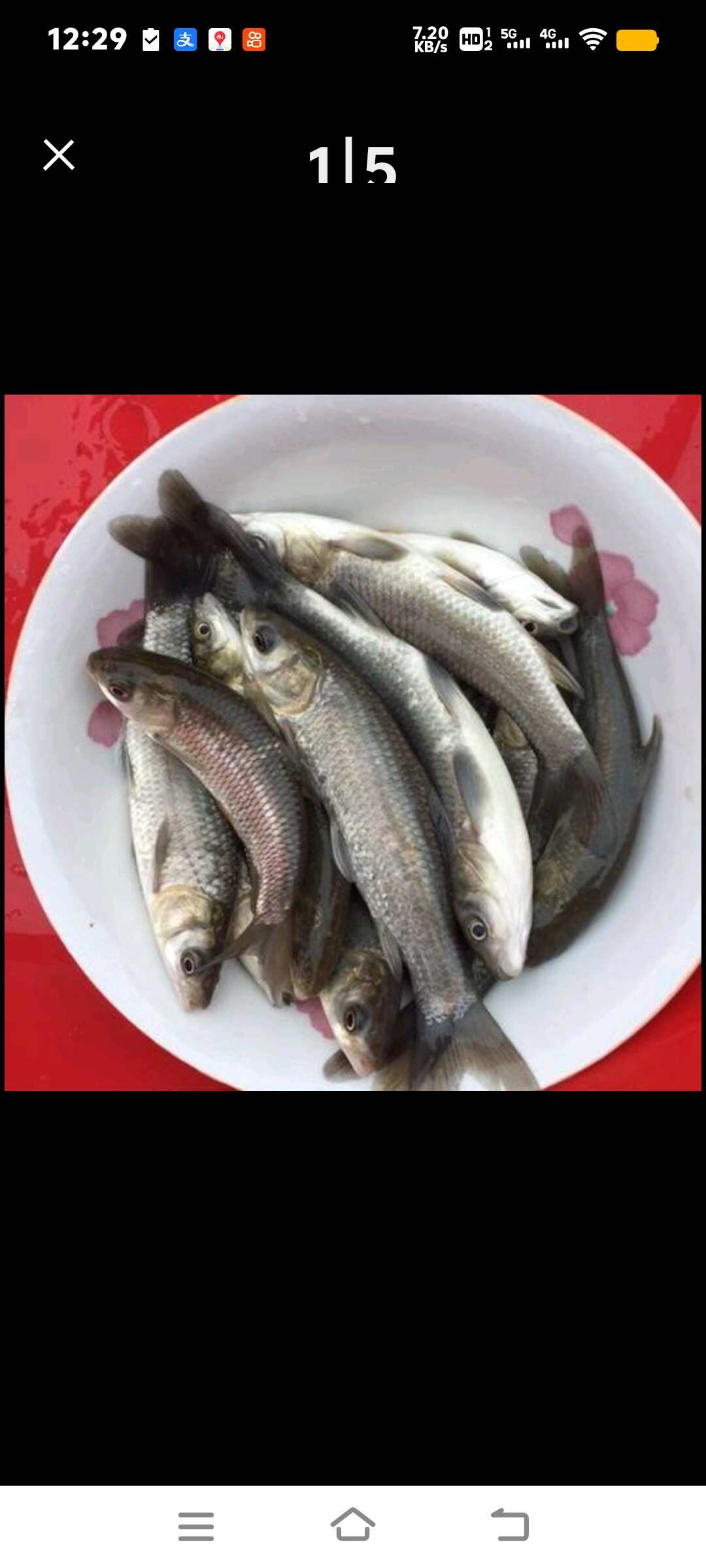 潼南区新鲜草鱼苗 水产养殖专用 生长快速健康新鲜鱼苗供应