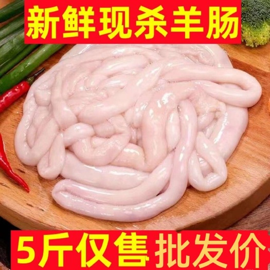日照新鲜羊肥肠羊大肠小肠羊盘肠生羊肠羊下水拐肠羊杂羊肠羊肥肠羊肠