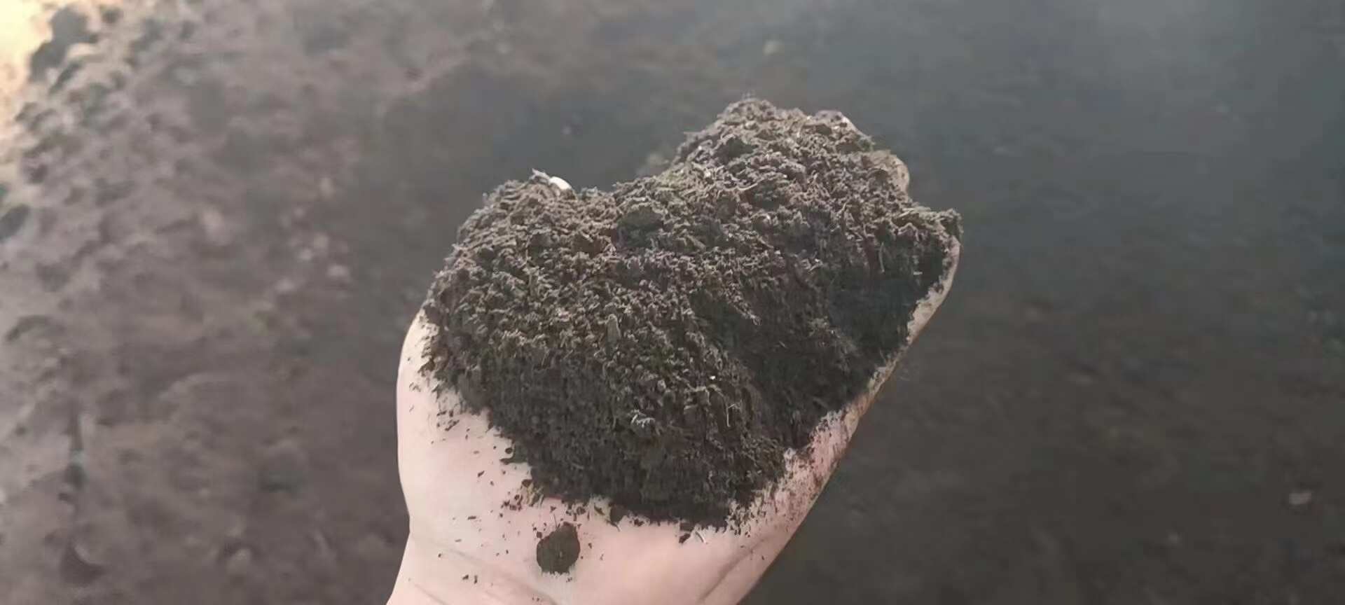 生物有机肥