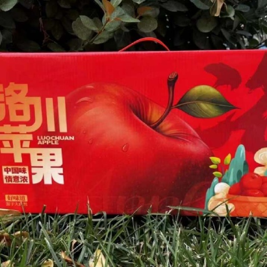 陕西省延安市洛川苹果，脆甜多汁，皮薄肉厚，核小无渣