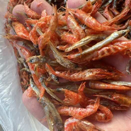 佛山河鱼河虾 地摊 电商 批发 农家小鱼小虾 鱼干 虾干