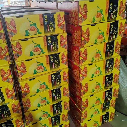 产地供应哈密瓜，网纹瓜，久红瑞，金福蜜常年供应电商，批发市场