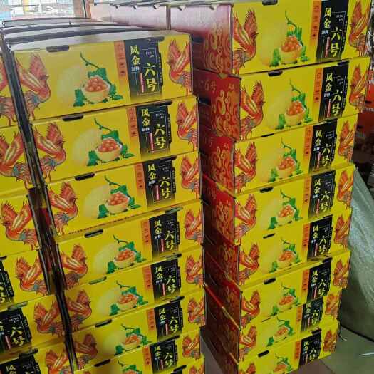 寿光市产地供应哈密瓜，网纹瓜，久红瑞，金福蜜常年供应电商，批发市场