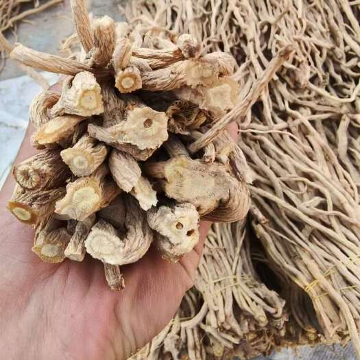 陇西县防风尾