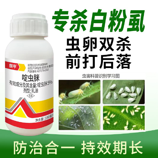 潍坊啶虫脒柑橘蚜虫白粉虱