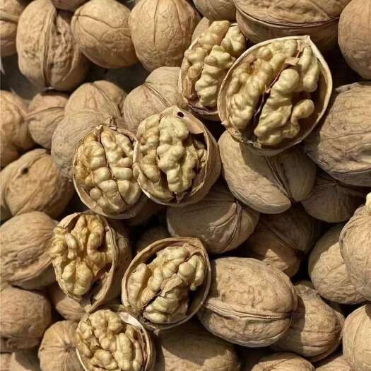 阿克苏市185纸皮核桃产地直发