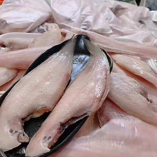 连云港去皮舌头鱼龙利鱼海捕舌头鱼踏板鱼鳎目鱼鱼柳子板鱼舌鳎