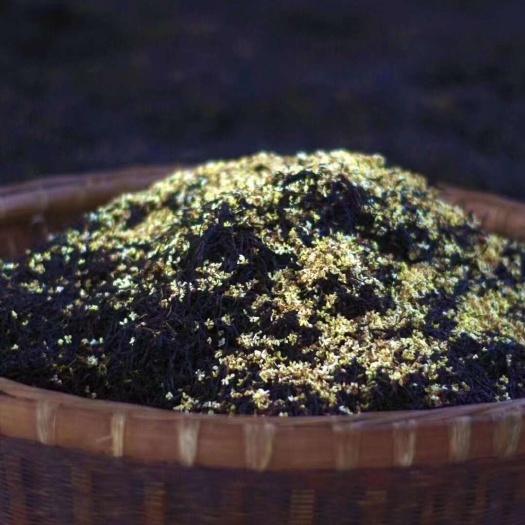 桂花红茶香气四溢甘甜纯厚口感纯正好喝不贵