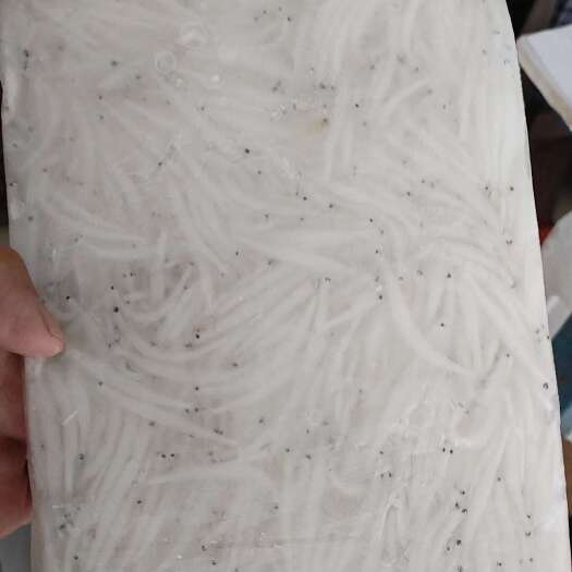 丹江口市丹江淡水银鱼
