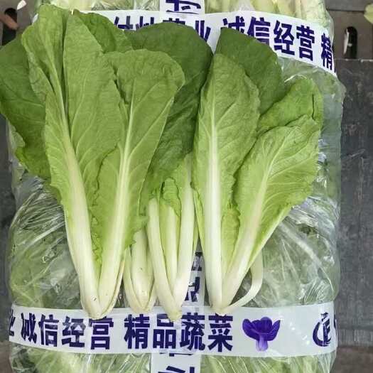 三台县小白菜