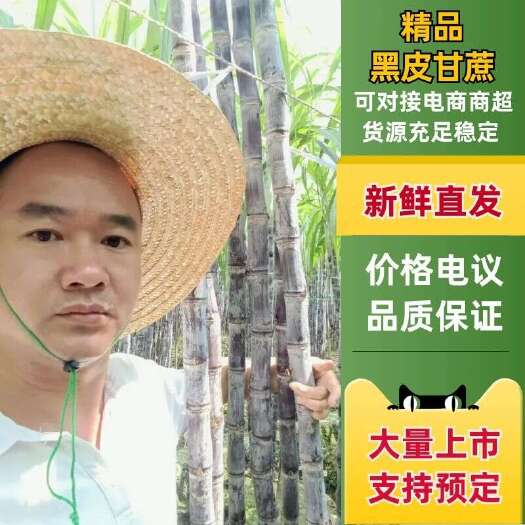 博白县甘蔗产地  热销中 甜脆 结巴均匀，便宜回程车