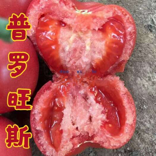 普罗旺斯西红柿，好口感，沙瓤