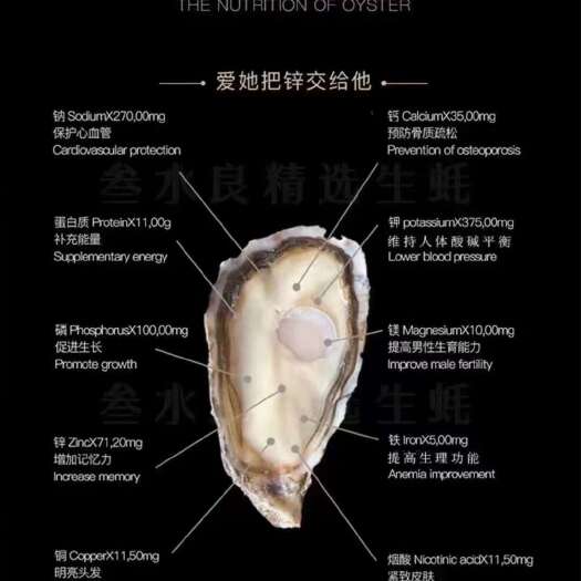 广州台山，乳山福建，湛江三倍体二倍体牡蛎，实肉，薄壳烧烤清蒸