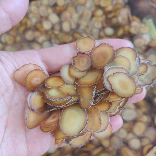 长春干鹿茸腊片黄金腊片鹿茸腊头颜色好口服一次一片