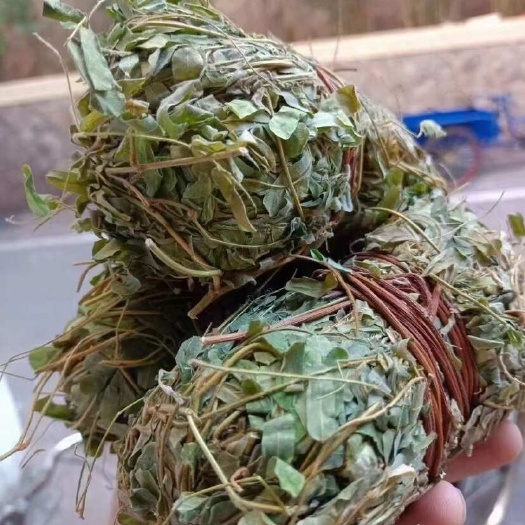 和平县鸡骨草
