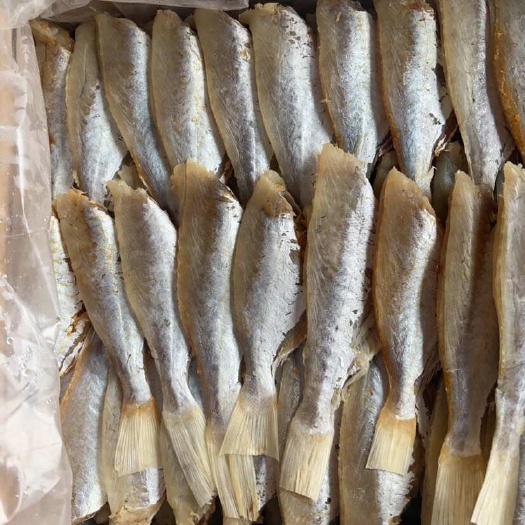 剥皮鱼 地摊 电商 批发 目肉鱼干 干鱼 鱼干 剥皮鱼干