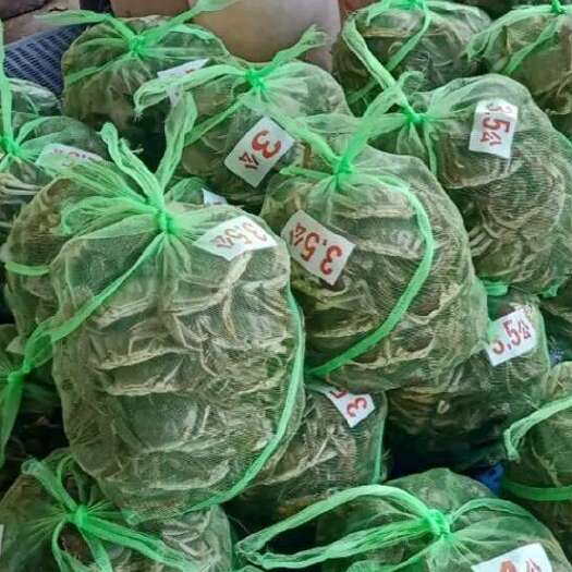 盐城残公
