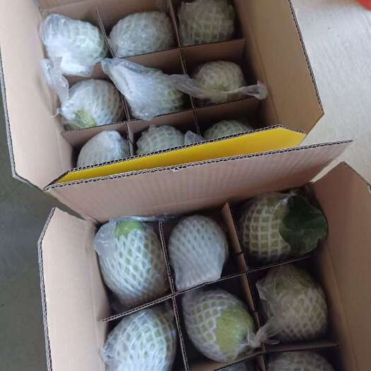 玉林广西玉州新鲜石榴 精选果园现摘直达