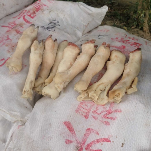 郑州育肥羊蹄纯育肥白蹄大号中号小号
