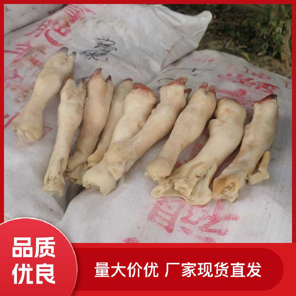 育肥羊蹄纯育肥白蹄大号中号小号