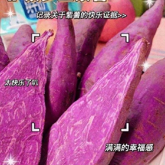 蒙阴县蒙阴紫罗兰紫薯-皮薄肉细，软糯香甜，口口惊艳，好吃到惊讶