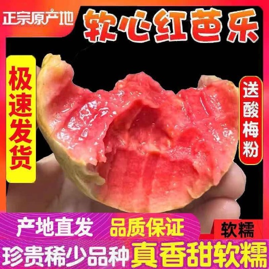 北流市新鲜采摘广西北流番石榴甜脆可口现摘现发