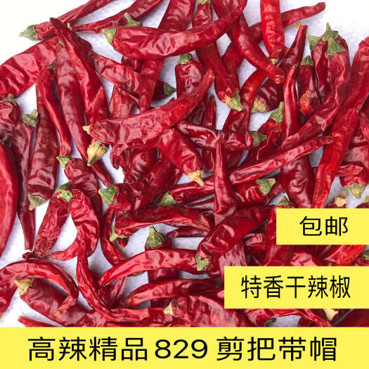 柘城县高辣829精品干辣椒 品质好 辣度高 价格实惠 现货包邮