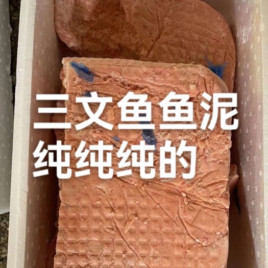 青岛三文鱼边角料鱼泥鱼肉鱼糜无刺新鲜宠物饲料工厂直发批发