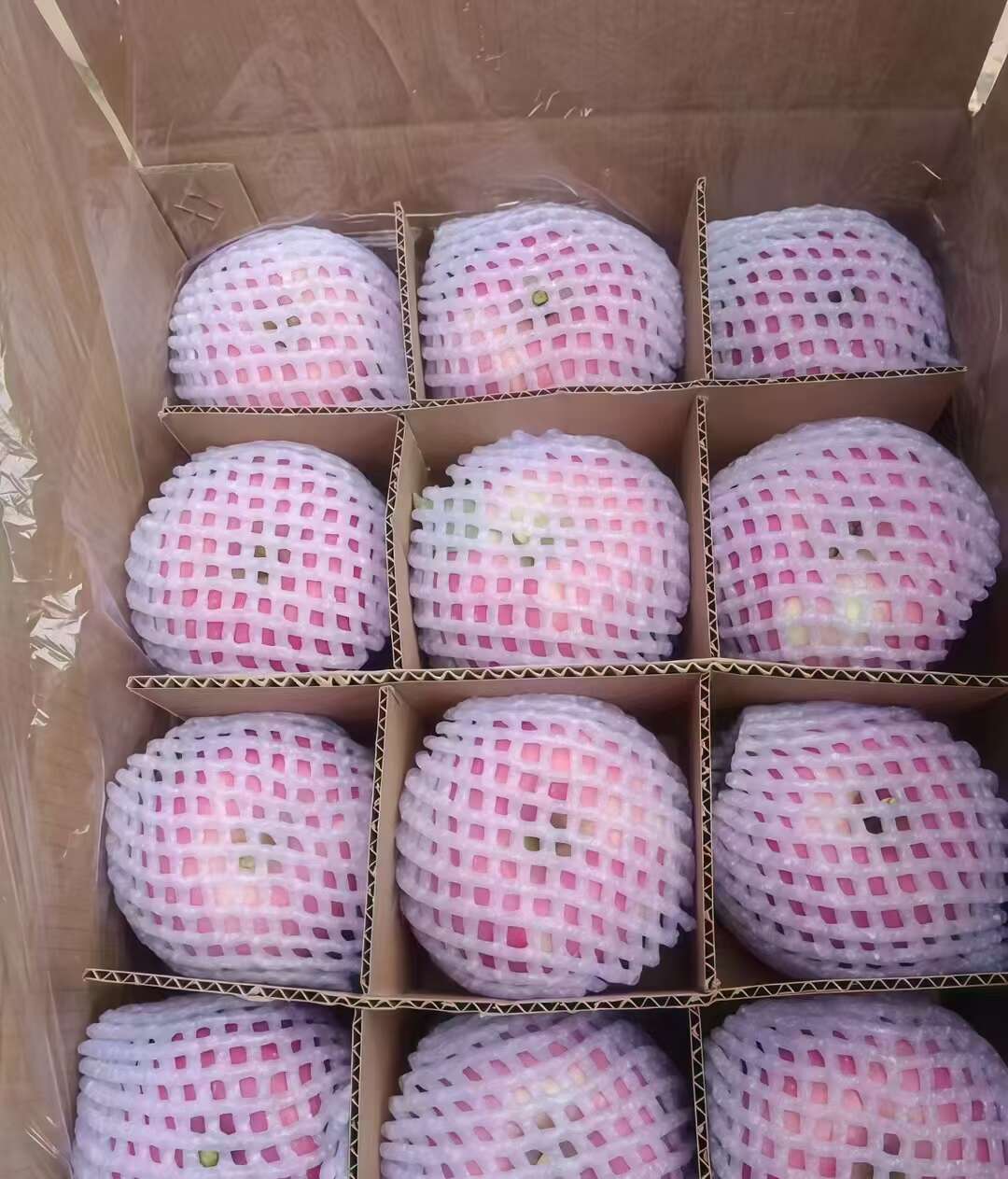 甘肃静宁红富士，自家果园种植