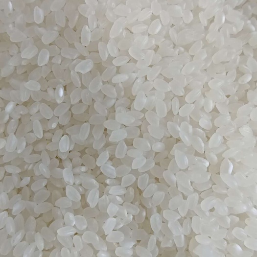 东北珍珠米新米