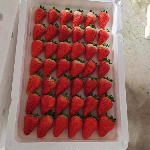 济南济南甜宝草莓，专业代办，可分拣订做各种包装