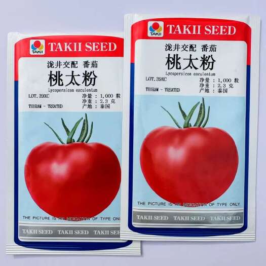 沭阳县桃太粉粉果番茄种子