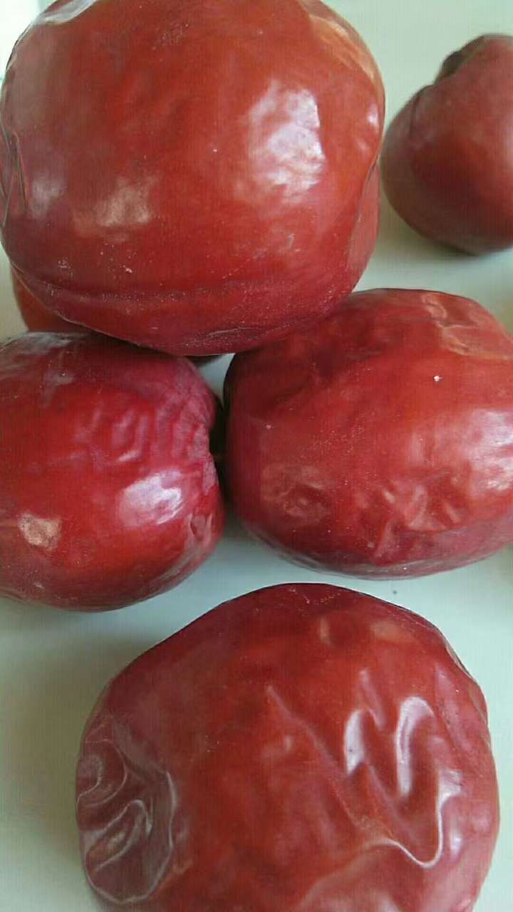 甘肃靖远石门大枣