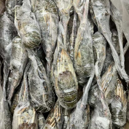 白菜价青龙、规格齐全，量大来谈