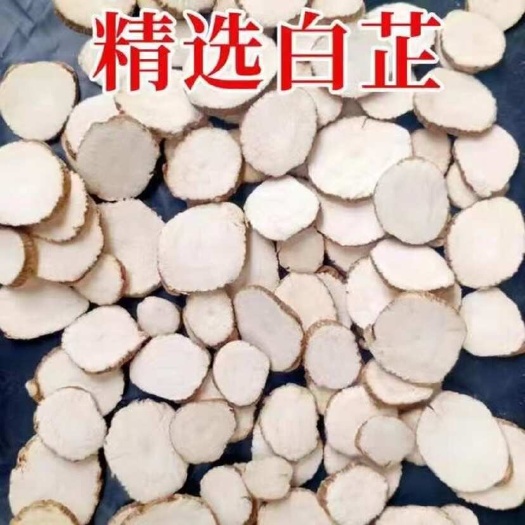 安国市白芷新货白芷片 川白芷无硫干货 产地直销 香料大全 批发价