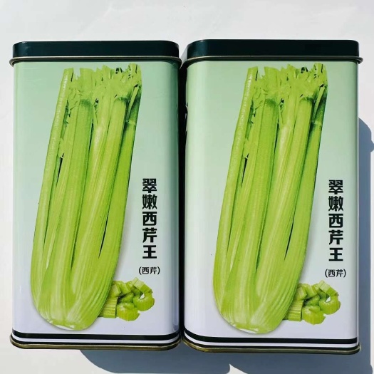西芹种子翠嫩西芹种子速生四季西芹种子法国皇后西芹种子芹菜种子