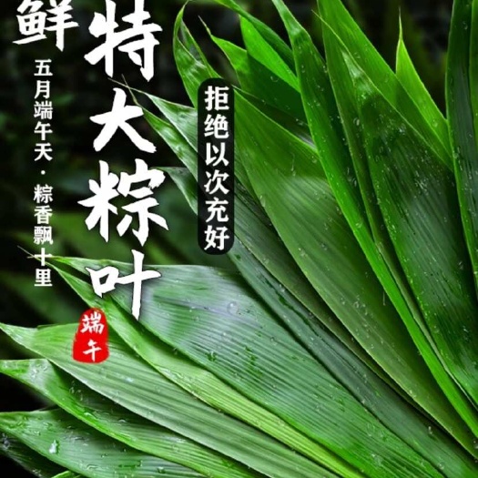 真空粽叶大叶，可电商一件代发