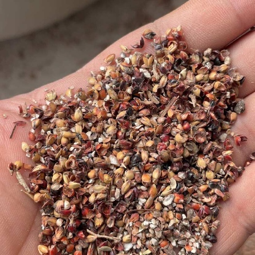 重庆市重庆市高粱壳糠麸类饲料 牛羊马通用 高质量营养丰富