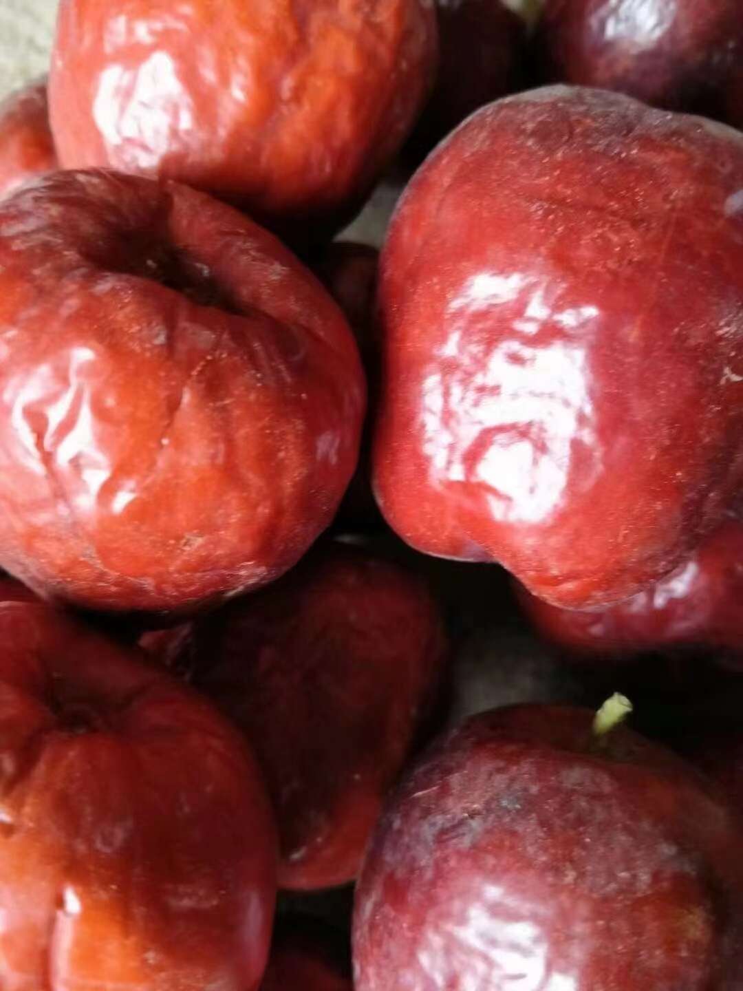 甘肃靖远石门大枣