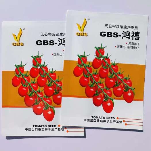 沭阳县鸿禧小番茄种子早熟无限生长型小番茄种子 千娇早熟小番茄种子