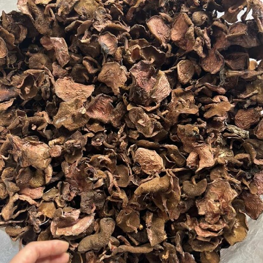 昆明红乳牛肝菌 特产直供 昆明盘龙区发货 优质食用菌 绿色健康