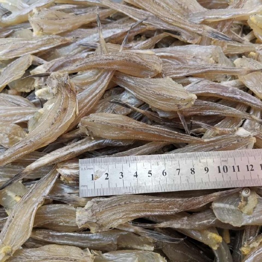 去头沙甲鱼半干新鲜鱼仔盐渍腌制小鱼干腌咸鱼百部新鲜北海咸鱼干