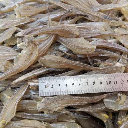广州去头沙甲鱼半干新鲜鱼仔盐渍腌制小鱼干腌咸鱼百部新鲜北海咸鱼干