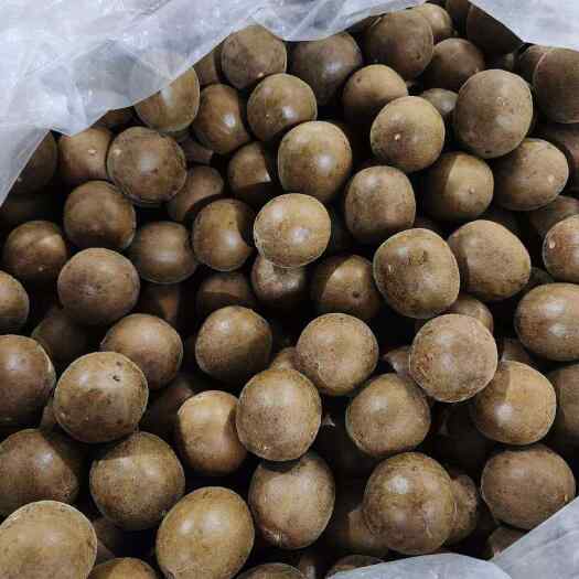 桂林新产品，