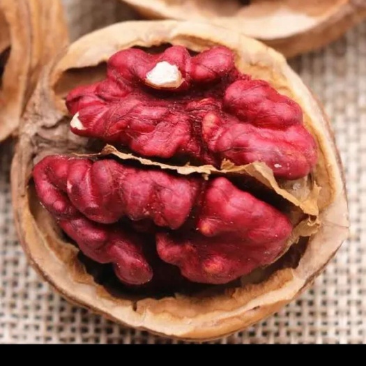 咸阳核桃苗，红肉核桃，红仁核桃苗，红核桃，苗圃现挖，产地直供，