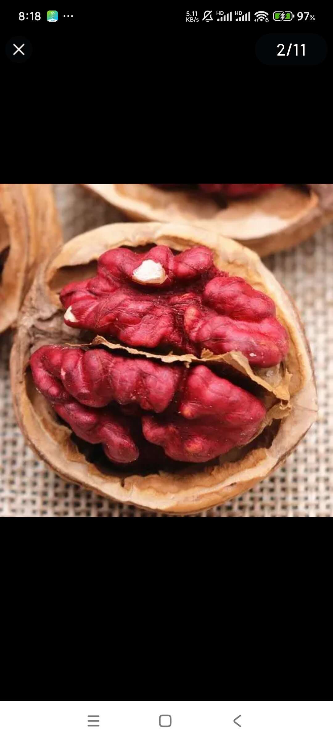 核桃苗，红肉核桃，红仁核桃苗，红核桃，苗圃现挖，产地直供，