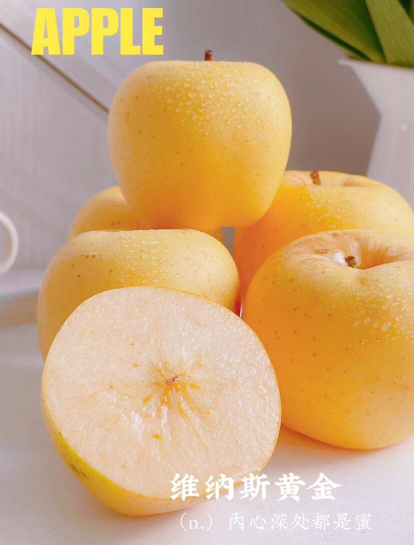 维纳斯黄金苹果