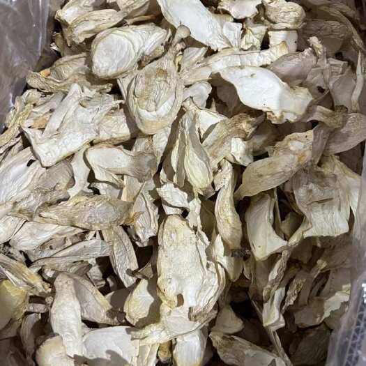 平泉市精品杏鲍菇